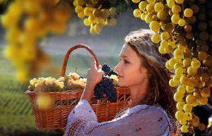 Wine and Culture trip in Romania and Moldova 01 – 08 October 2018 with US!