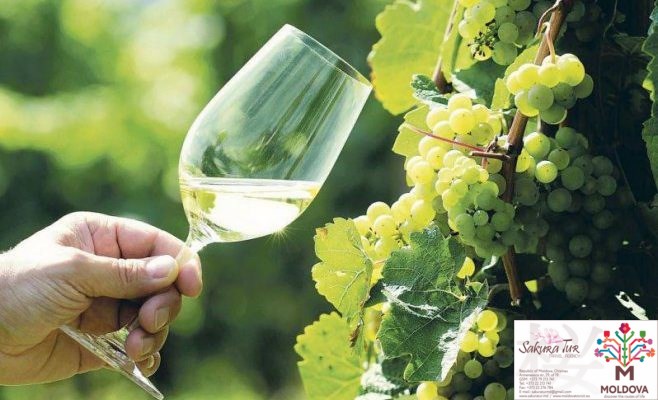 You are currently viewing Chisinau  Wine Festival