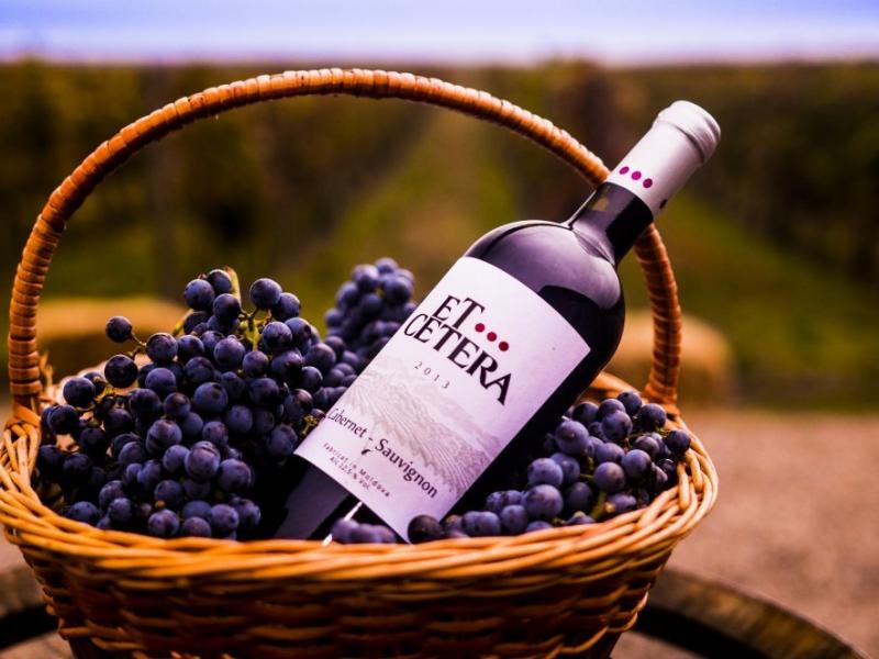 Read more about the article Winery Et Cetera